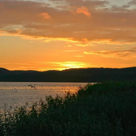 Meeresblickresidenzen Nr 11 Mit Sauna- Und Schwimmbadnutzung Im Ahoi Sellin Appartamento *
